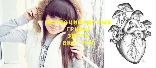 гашиш Горнозаводск