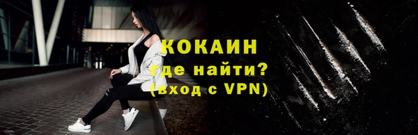 твердый Горняк