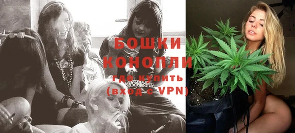 твердый Горняк